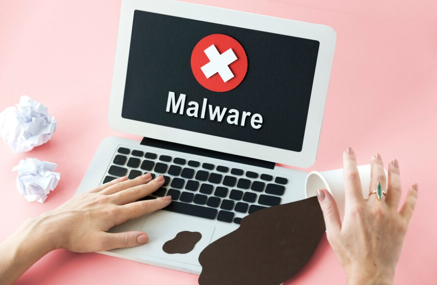 The Impact of Malware on Websites