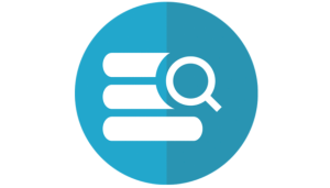 Domain and IP Lookup