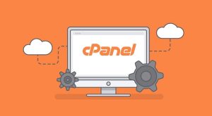 cPanel and Web Hosting Management for Beginners